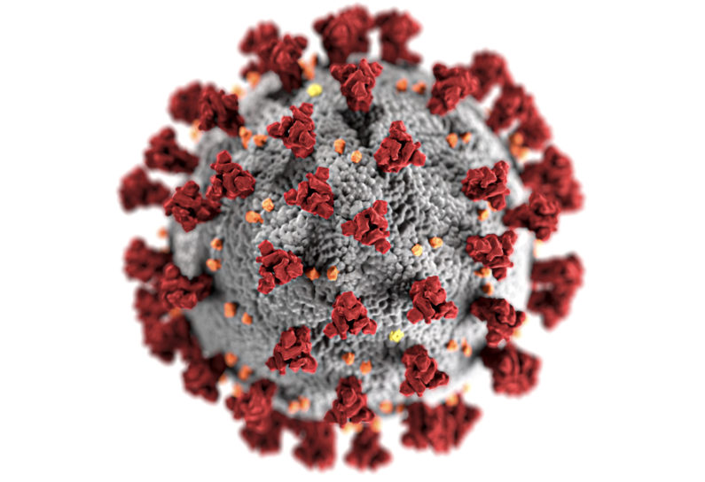 covid-19-coronavirus-covid-cell-pandemic-corona-virus-1608792-pxhere.com